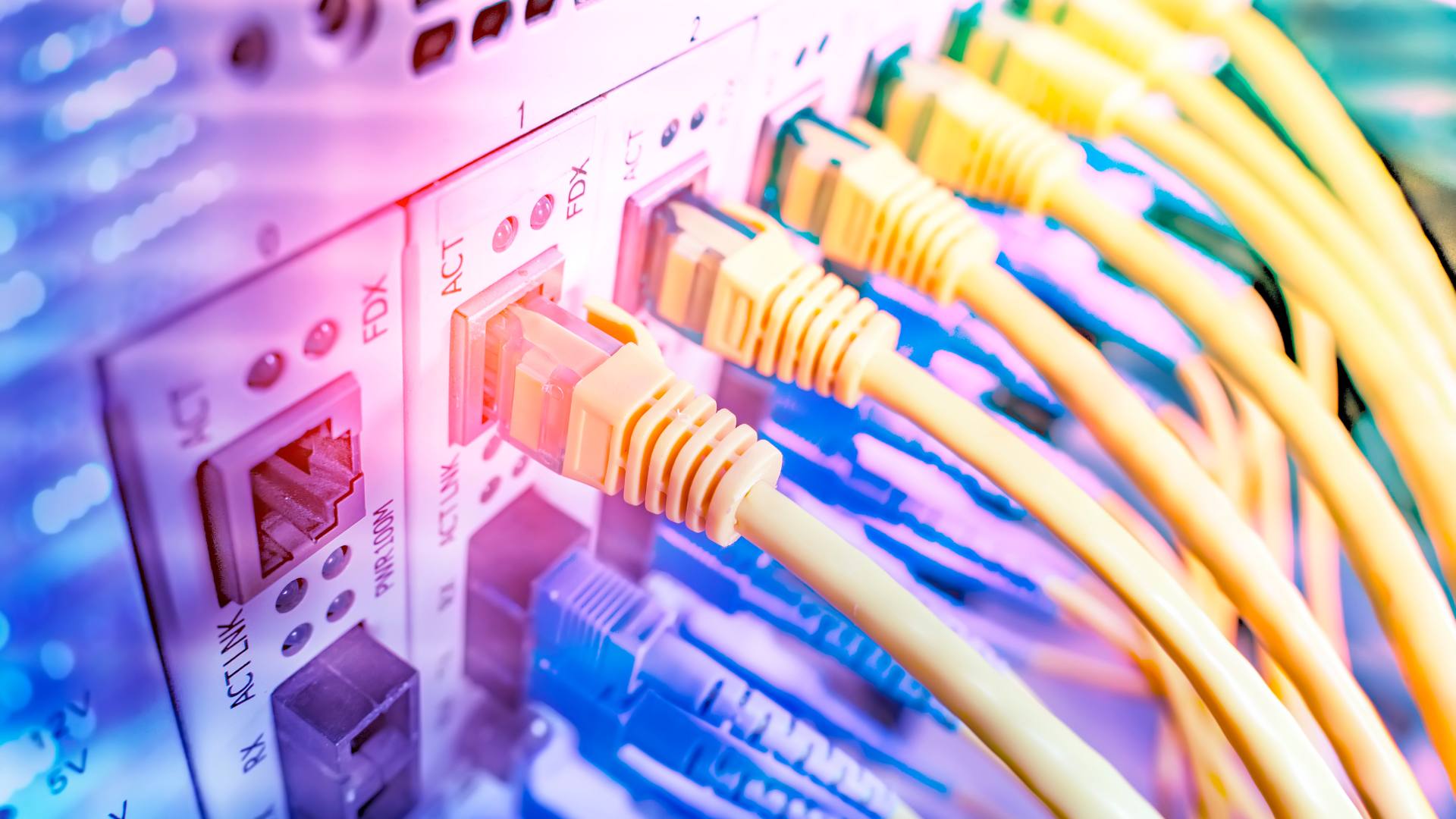 Cat6 vs. Cat5e: A Practical Guide on When to Upgrade Your Network