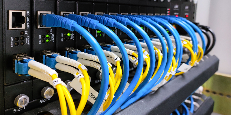 Cat5e vs. Cat6: Making the Right Choice for Your Network's Future
