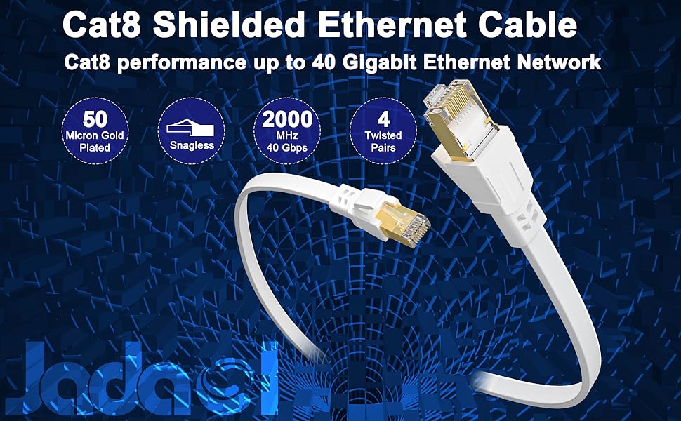 Can My Router Handle a Cat8 Cable? The Definitive Answer